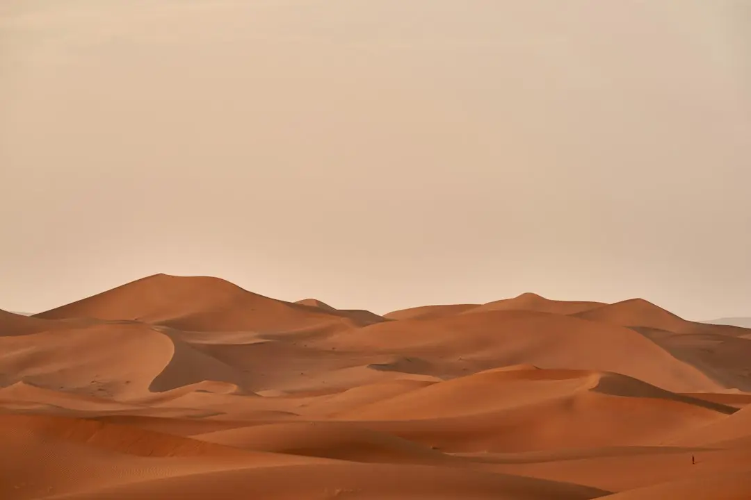 Desert de toamnă cu mere invizibile – rețeta video