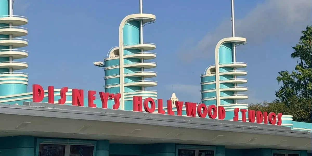 Mister la Disney World: O petrecere privată a dat peste cap fanii parcului
