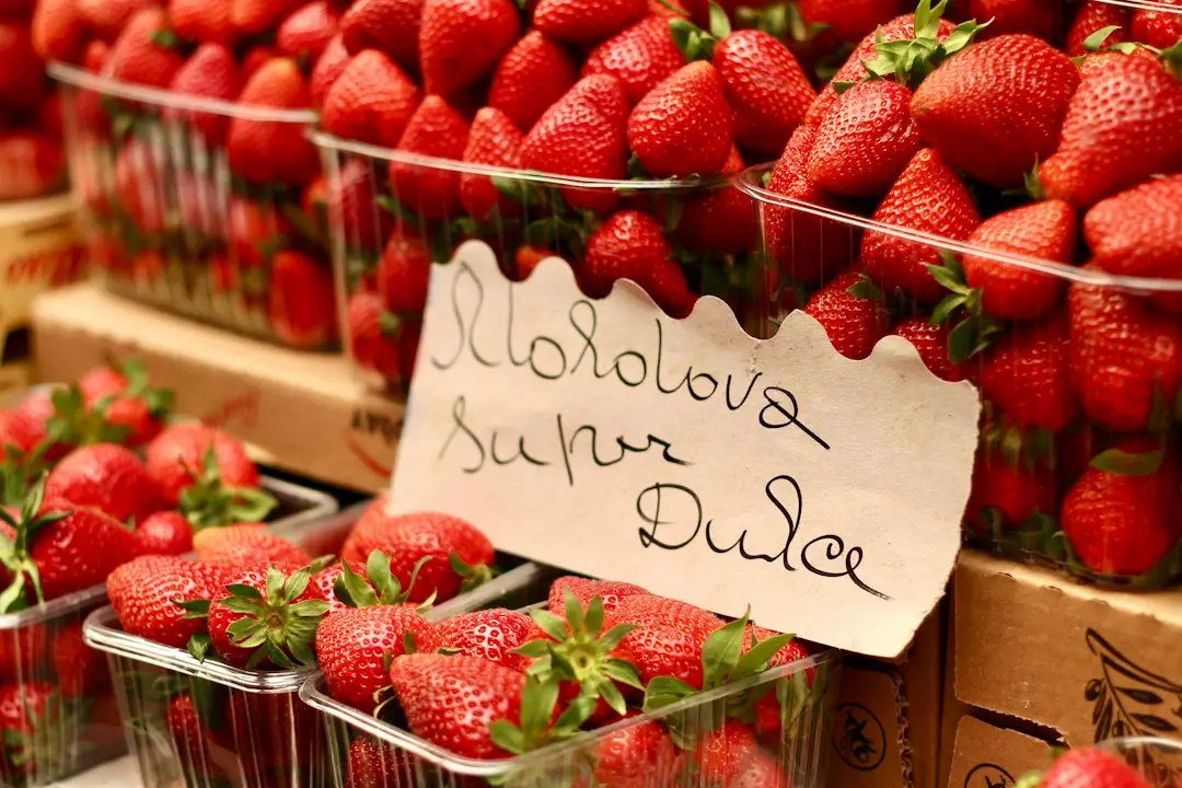 Sandvișuri delicioase pentru copii cu chifle făcute acasă
